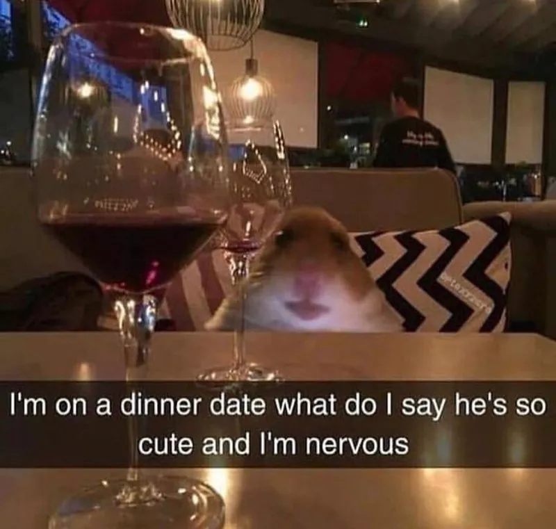 Hamster on a date meme