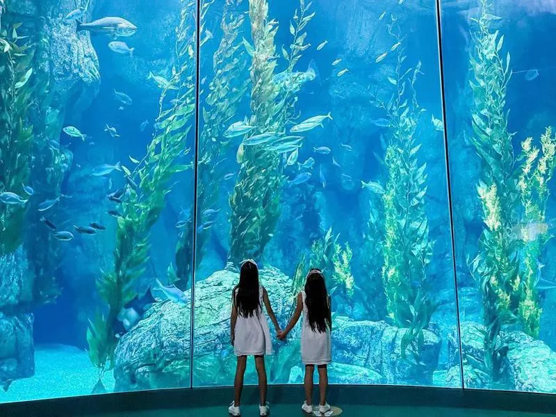 Aquarium of the Pacific