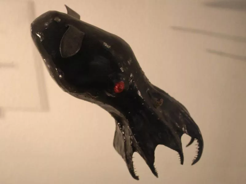 Black Vampire Squid