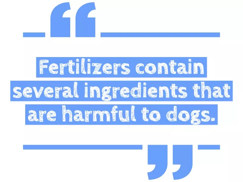 Dangerous for dogs to eat fertilizer