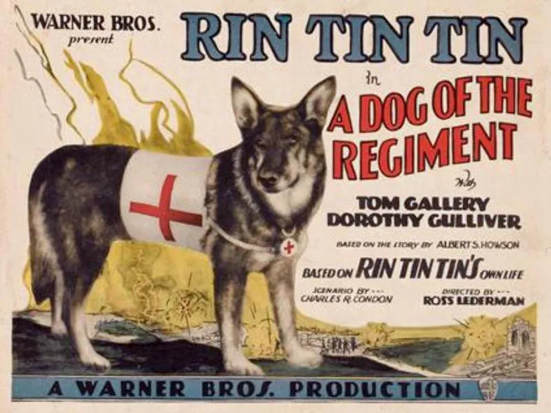 Rin Tin Tin