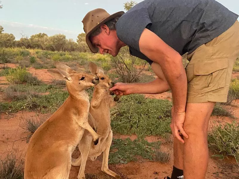 The Kangaroo Sanctuary