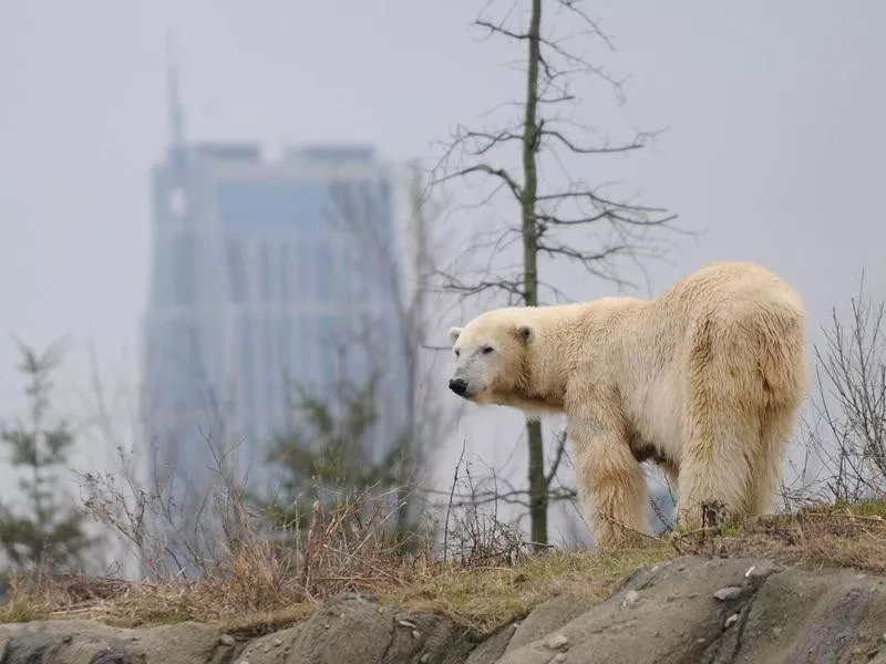 Rotterdam Zoo