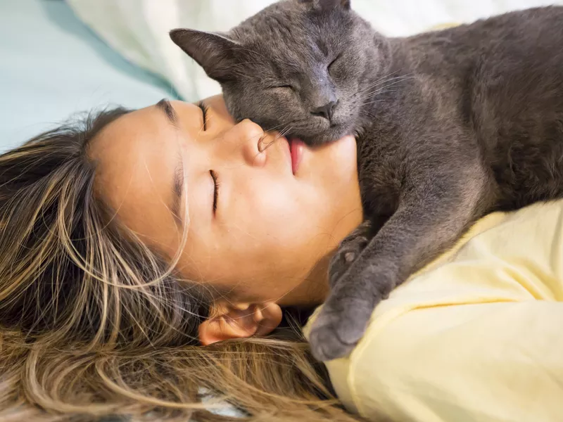 teenager snuggles with her gray cat