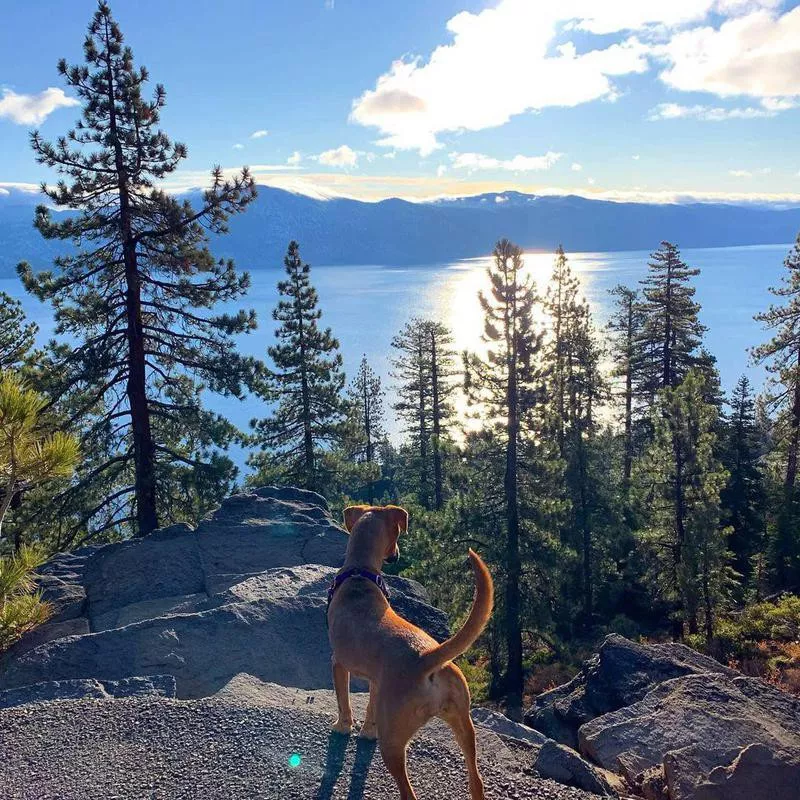 Lake Tahoe, California