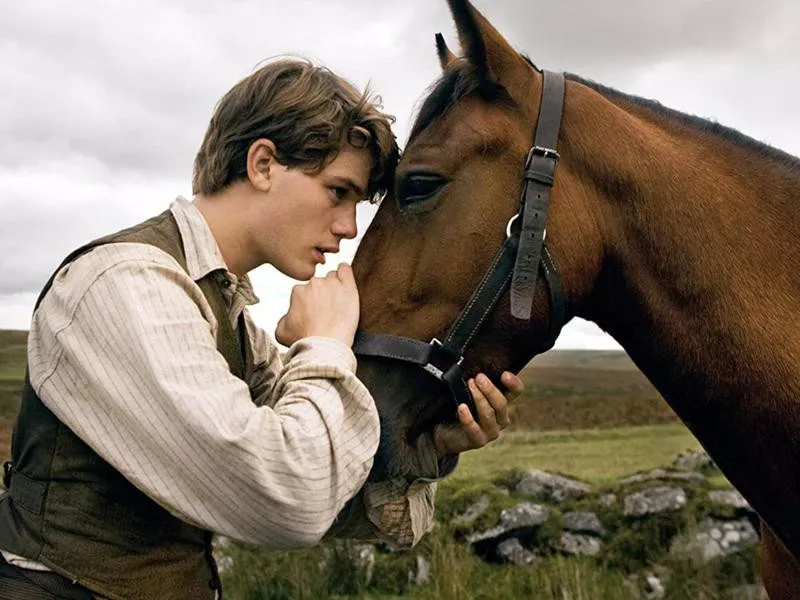 War Horse