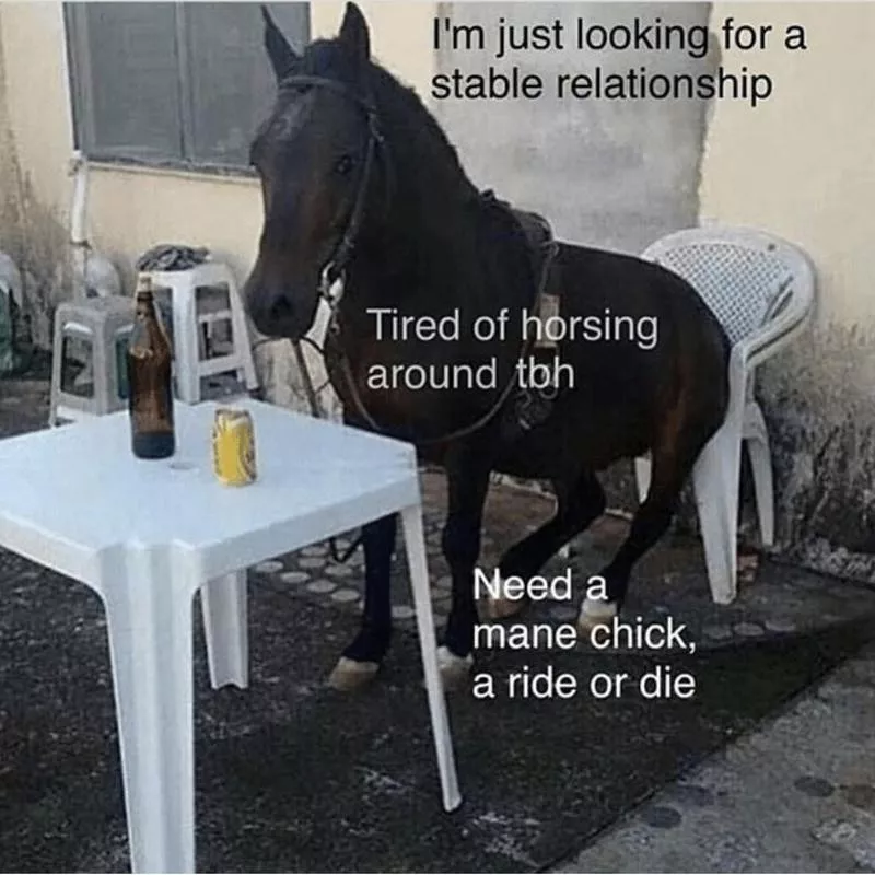 Horse speed dating