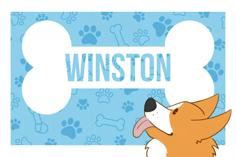 Winston