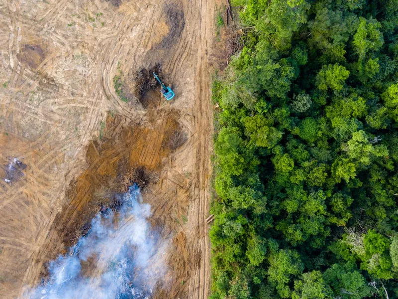 Aerial view of deforestation