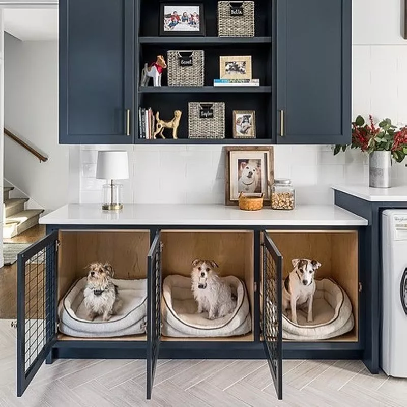 Cute Dog Room Ideas: Side by side dog crates