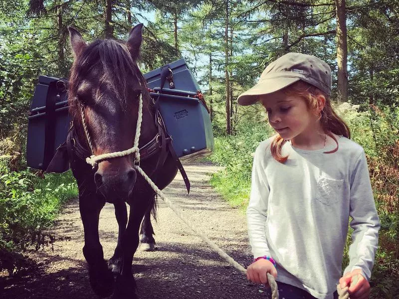 Little girl and fell pony