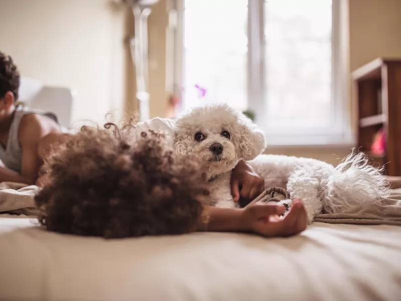 Siblings playing with their dog at home