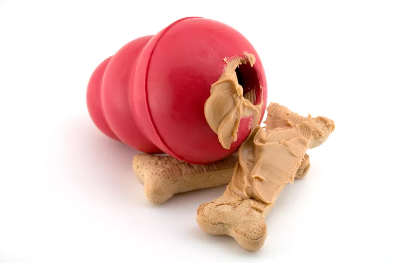 Peanut butter dog treat