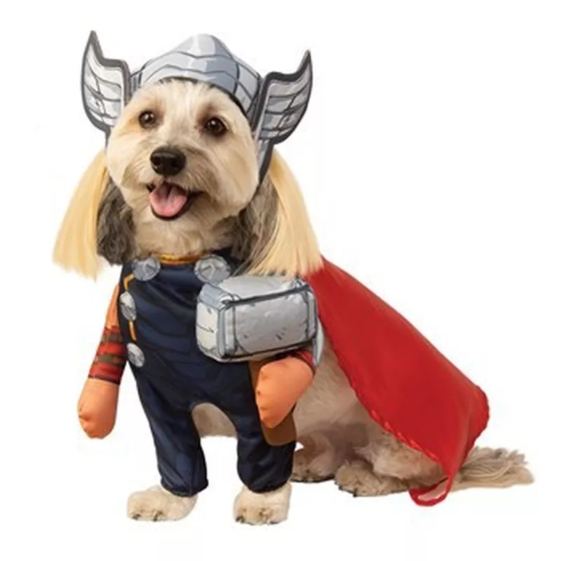 Avengers Thor dog costume