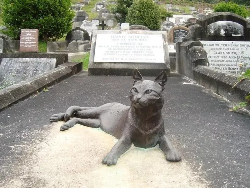 Monument to Antarctic exploration cat in New Zealand