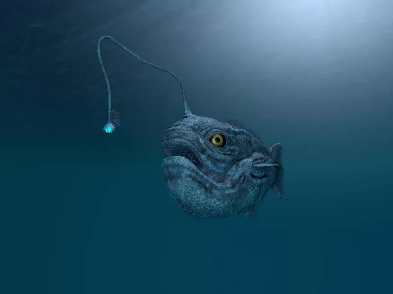 ancient angler fish