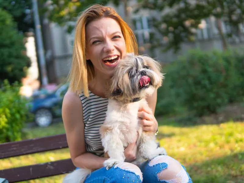 Shih tzu with owner