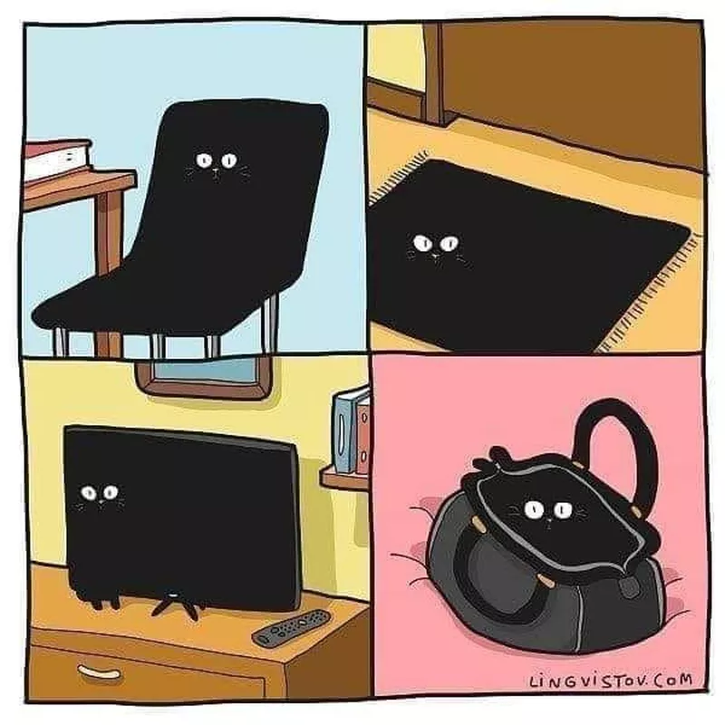 Black cat hiding cartoon