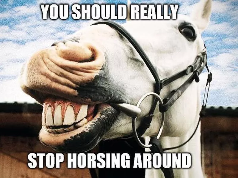 Horsing around pun