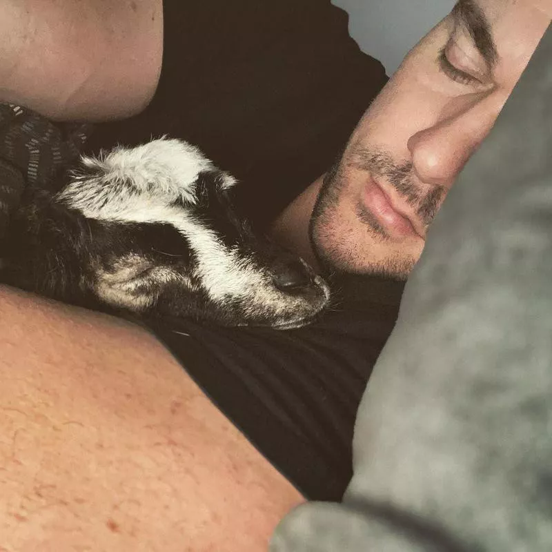 Man cuddling with pet goat