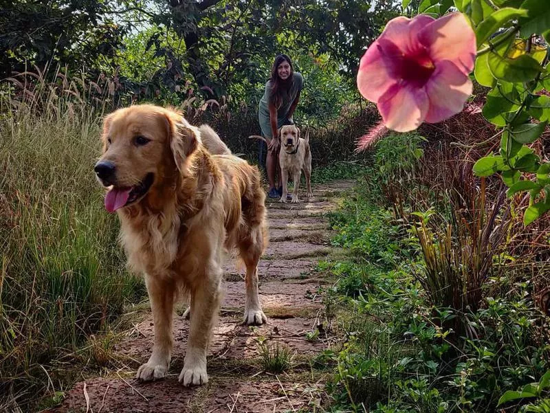 priyanka and dogs