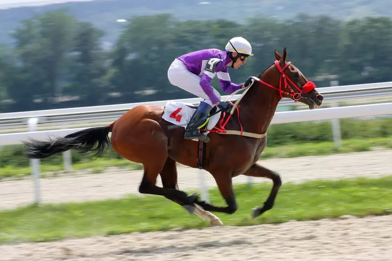 Jockey riding a horse