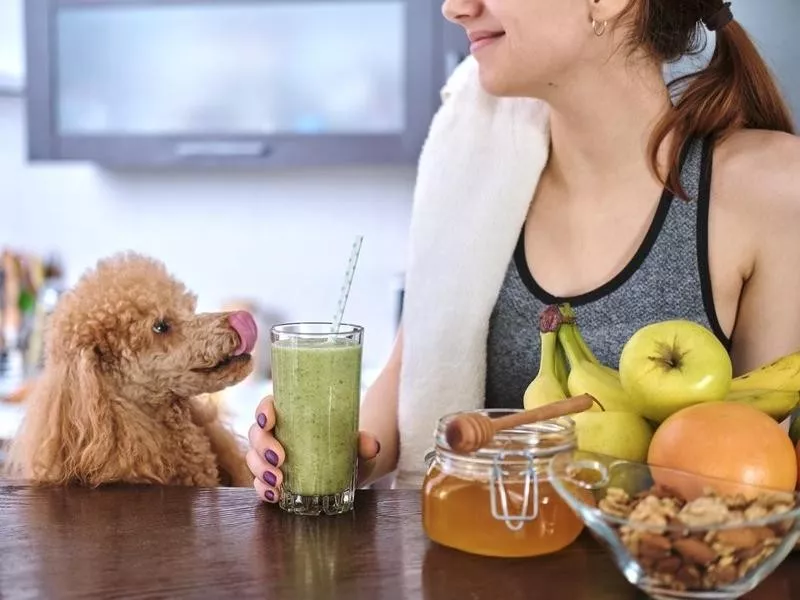 Dog licking tongue around nuts