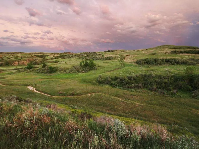 Buffalo Gap Ranch