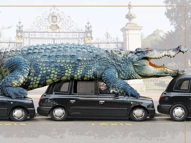 The Largest-Living Captive Crocodile