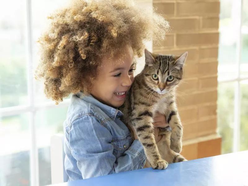 girl playing with cat