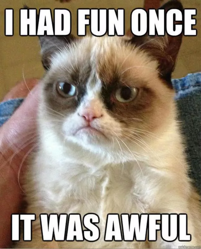 Grumpy cat memes