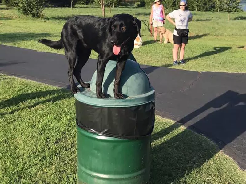 Edmond Dog Park at Bickham-Rudkin Park