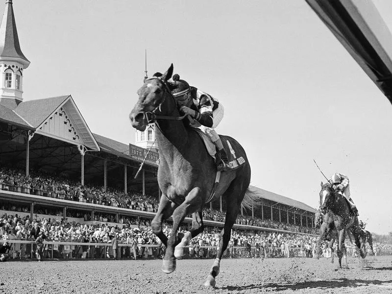 Spectacular Bid