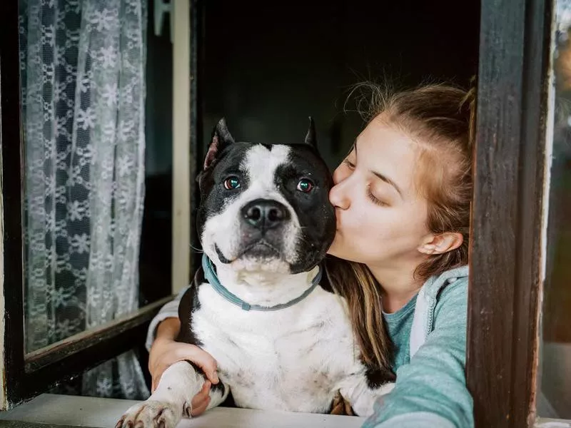 Dog and young female look out a home window