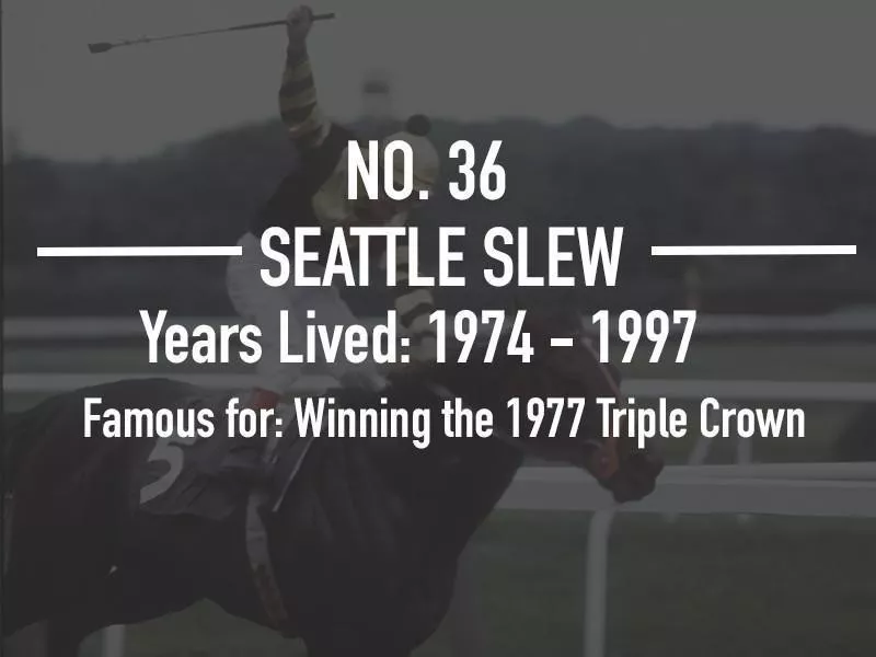 Seattle Slew