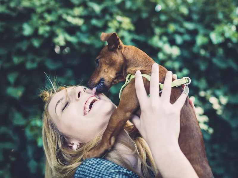 dog slobber