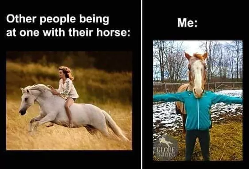 Be one your horse funny meme