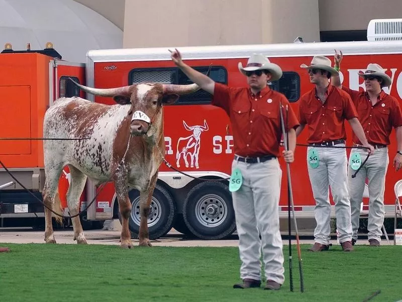 Bevo XIV