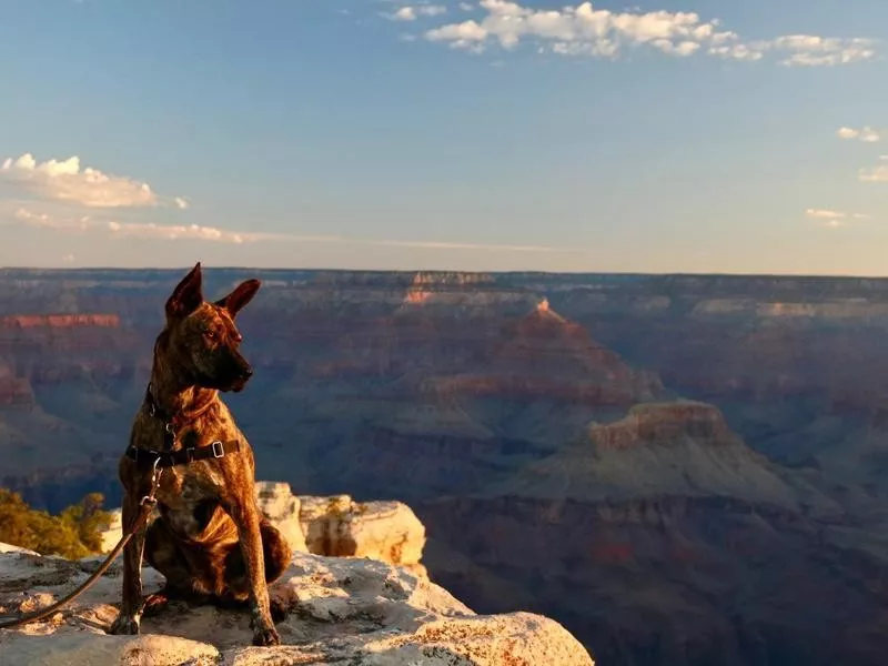 Grand Canyon National Park