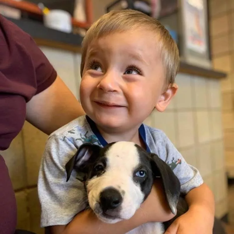 Bentley and His New Puppy