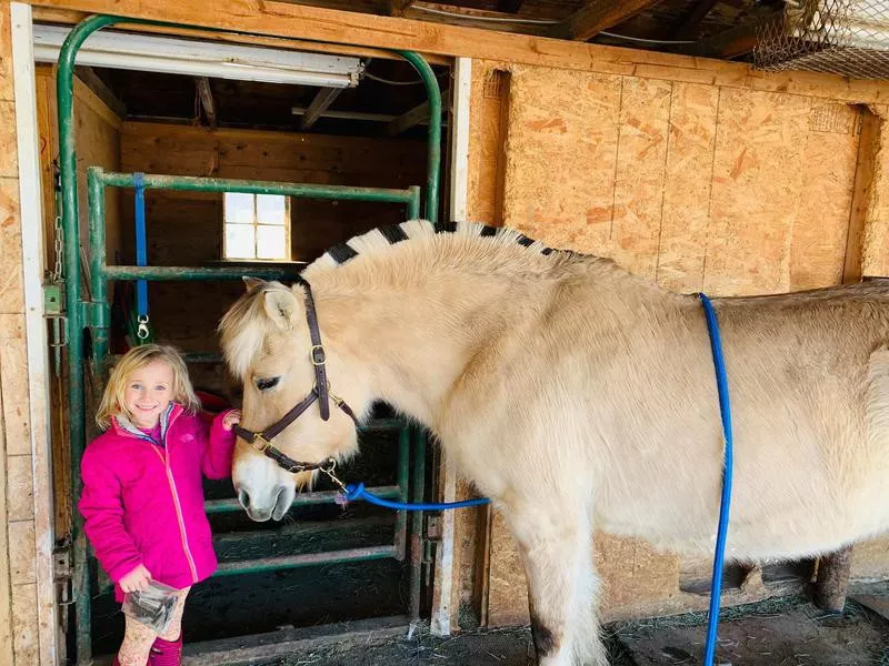 Little girl and her fjord