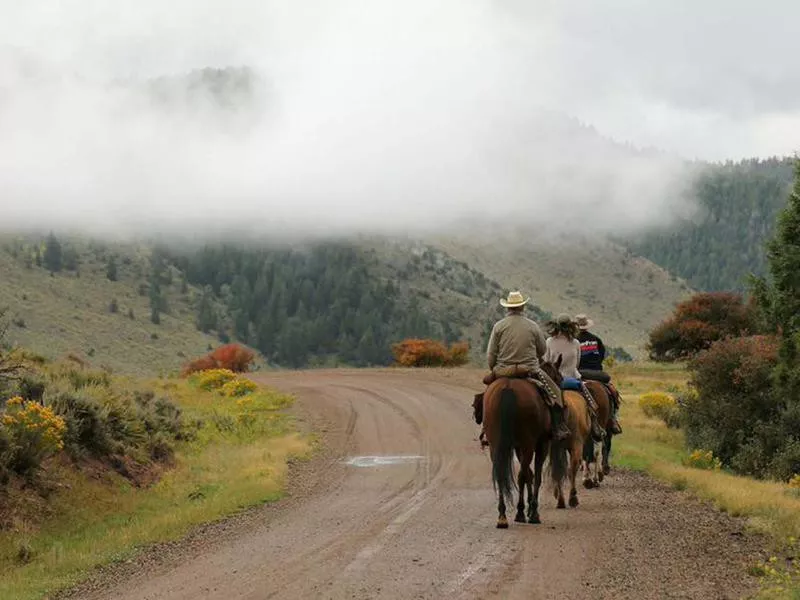 Black Mountain Ranch