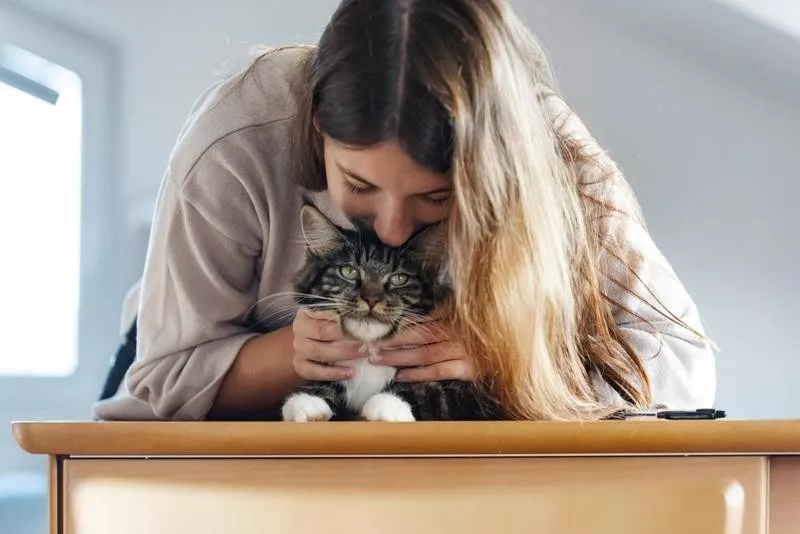 Upper-Body Petting