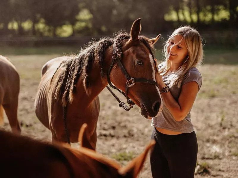 Young girl stroking her Arabian brown mare