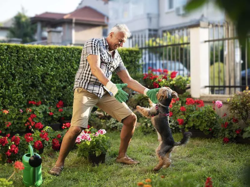 Man in garden and playing with his dog