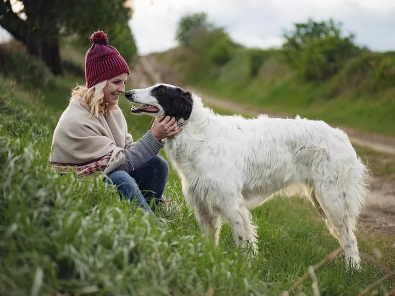 Borzoi