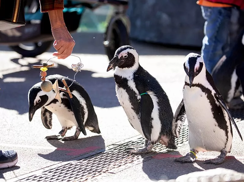 Cheyenne Mountain Zoo