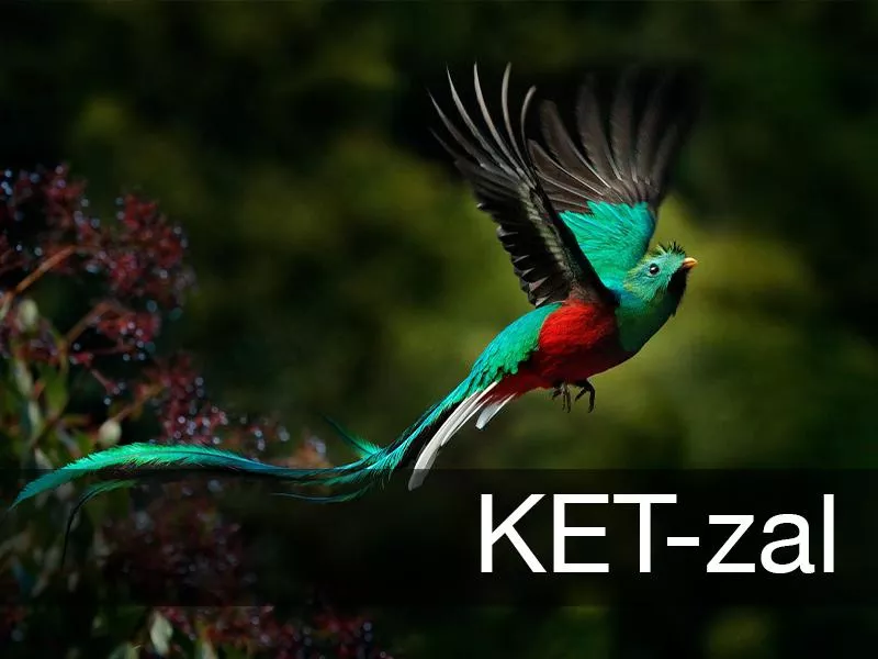 Quetzal