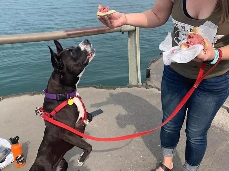 Suzy's First Corned Beef