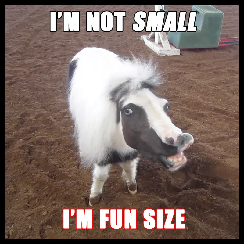 Tiny horse meme